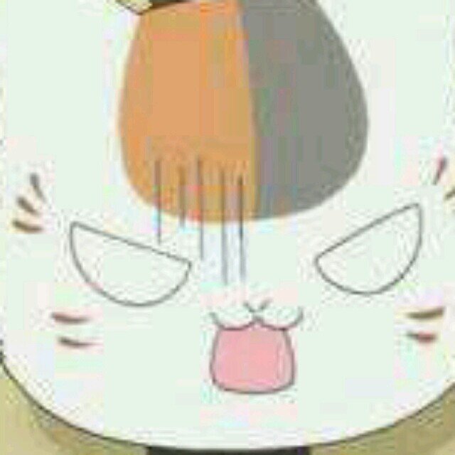 まとばにゃんこさんのプロフィール画像