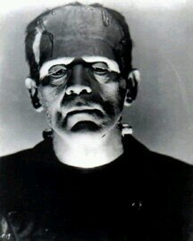 LittleDavid93's profile picture. David Breithaupt Ph.D. Disabled veteran Retired statistician & professor.
Love family dogs piano garden.
Photography sports backpacking fishing birdwatching.