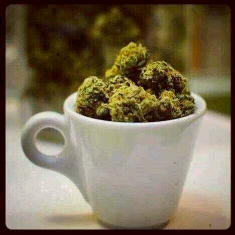Life is short , Enjoy It while u Still can !!