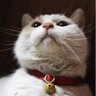 StickyBug_511's profile picture. ねこ好き カメラ好き サッカー好き