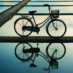 Celin_GB's profile picture. 