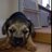 Woodhorne87Jane's profile image