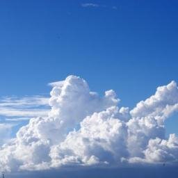 半分うわの空でいろいろつぶやきます。