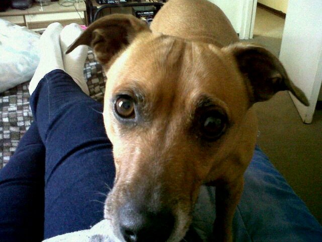 Animal lover. Do unto others as u would like done unto u.