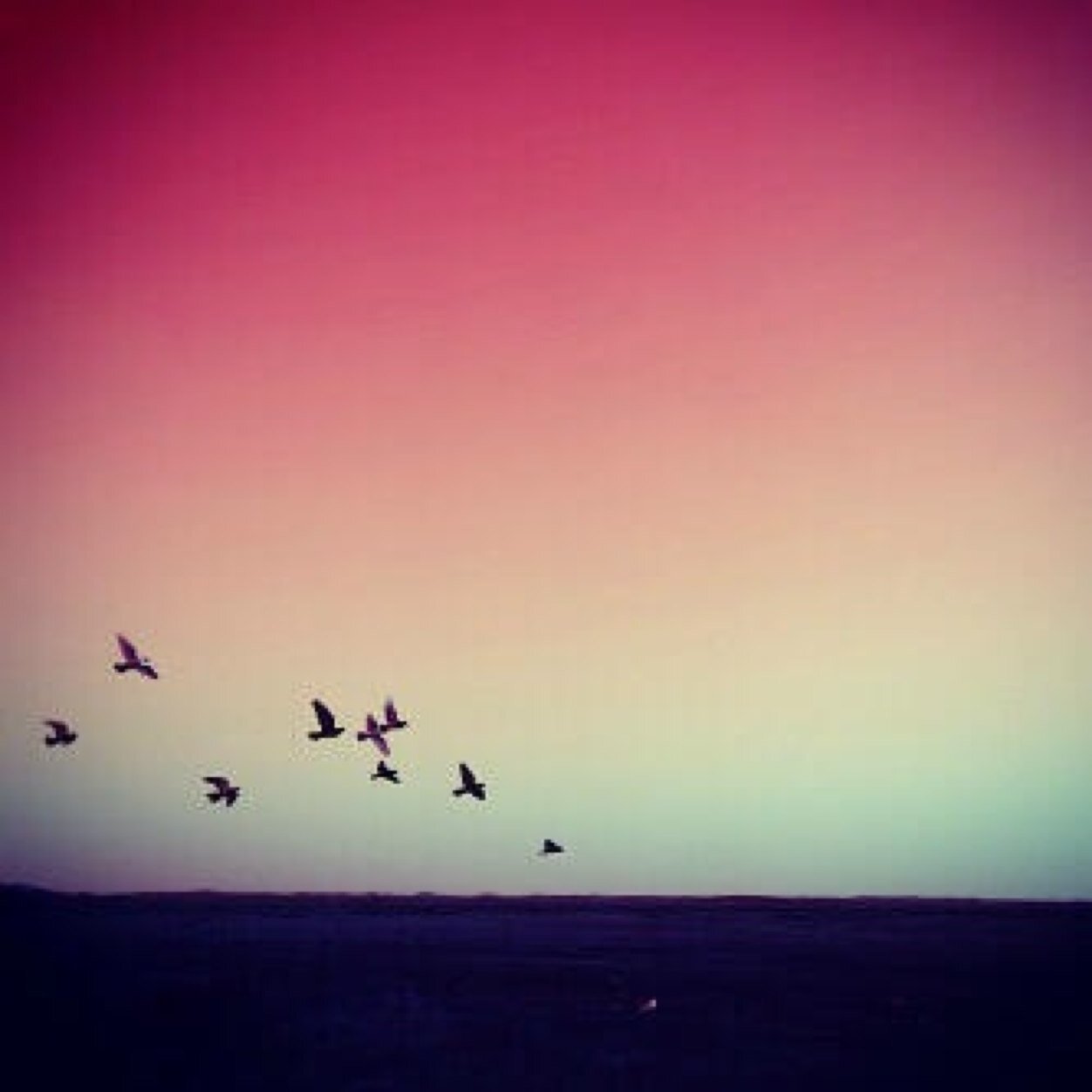 86Ket's profile picture. 