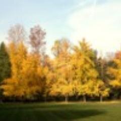 ParcoCascine's profile picture. 130 ettari di cultura, sport e natura a Firenze