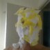 Custard Flan Man (@custardflanman) Twitter profile photo Custard Flan Man (@custardflanman) Twitter profile photo