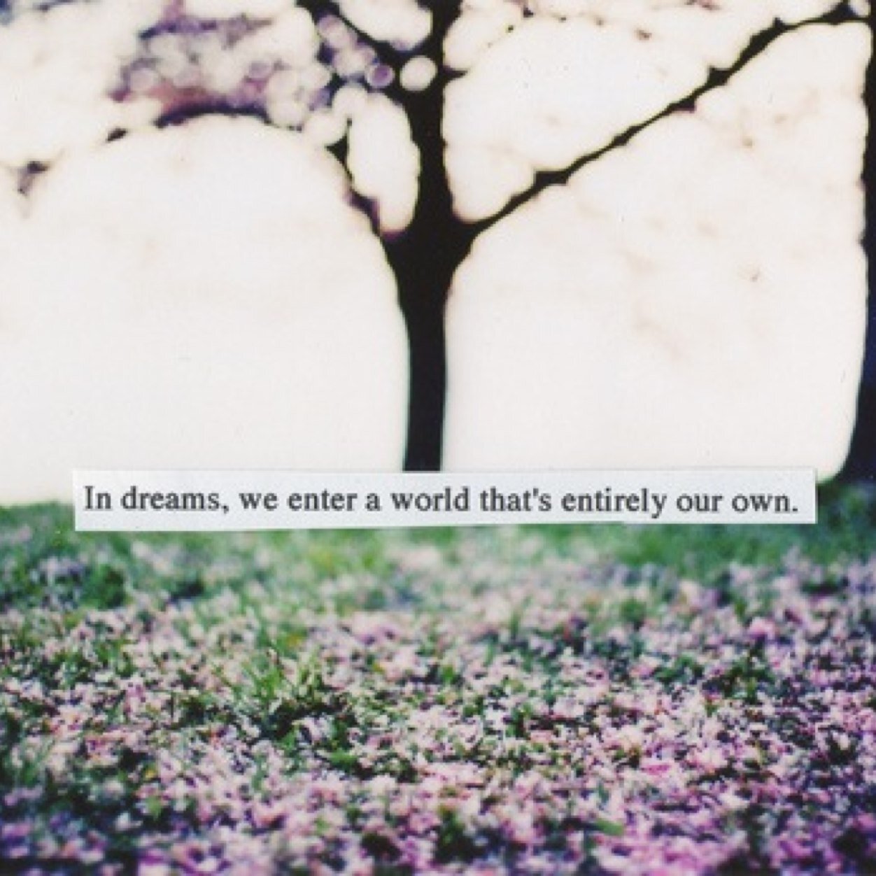 TeenagerBored's profile picture. girl looking for something to do