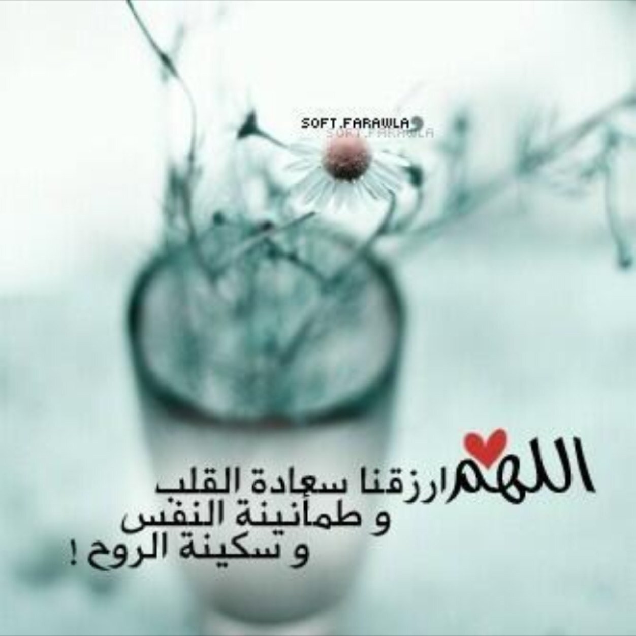 يَأْرَبُ أَرِحْ ثُمَّ اِشْفِ كُلَّ نَفْسٍ لايعلم بِوَجَعِهَا إِلَّا أَنْتَ.. (لَا أَلَهُ الا انت سَبِّحَانِّكَ أَنَّي كُنْتُ مِنْ الظَالِمَيْنِ