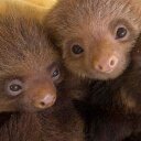 Lord Arthur Cloud - @lordarthurcloud - Twitter