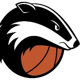 Delftse basketballclub / 45 jaar / van Eredivisie tot kern 6e klas / 20-tal teams / vanaf 6-7 jaar / meer dan 60 vrijwilligers
