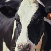 RMG_network (@rmg_network) 's Twitter Profile Photo RMG_network (@rmg_network) 's Twitter Profile Photo