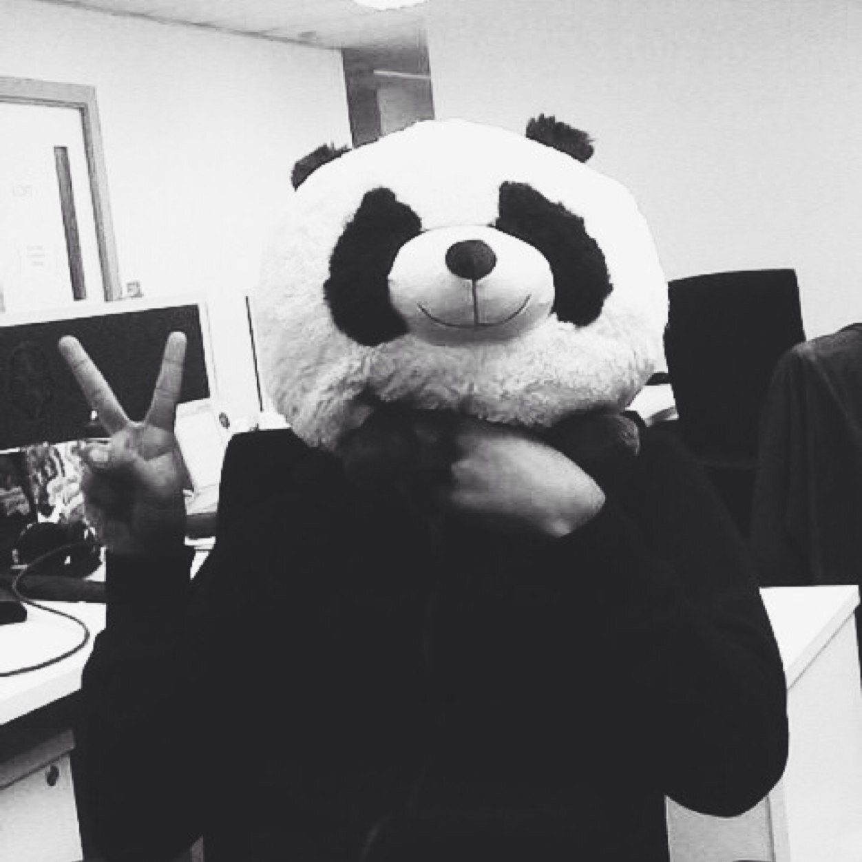 there's a great pastel brown panda living in this twit twit 🐼 + 