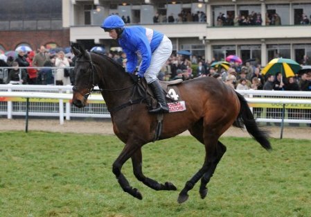 wwwpeg1net's profile picture. maker of peg 1 fishing pellets