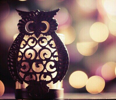 BayKusKafali's profile picture. TakipEdeniTakipEderim. Takip ediyorsam geri takip yapar mısın :)