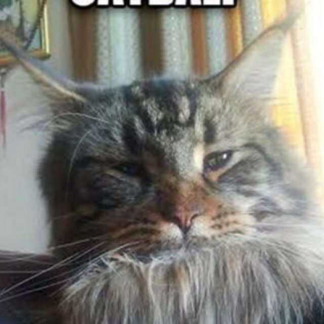 Hello, Im Zetchee of Kalimdor (aka. Jack Blake) i love PC gaming.  I am Dave! Yognau(gh)t.