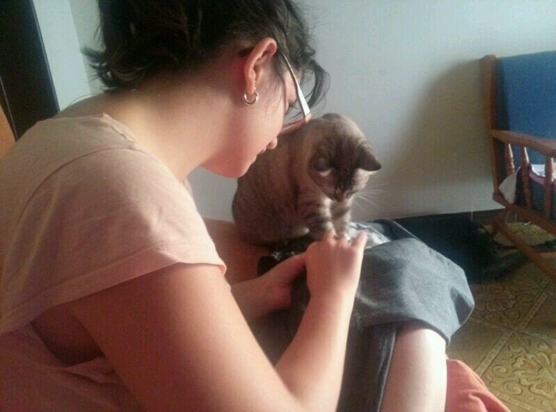 myhollowlife's profile picture. Enginyera tècnica industrial especialitzada en industria farmacéutica

Docent de FP i psicòloga.