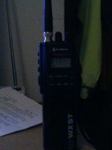 Indiana_React's profile picture. 