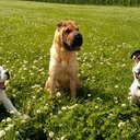 Lynn Haak - @lynnhaak - Twitter