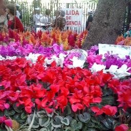 claosj16's profile picture. 