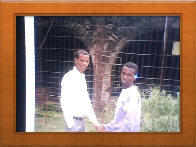 tamirutadele's profile picture. 