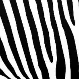 Baumzebra Profile