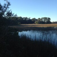 Barry Reynolds (@barrybreynolds) 's Twitter Profile