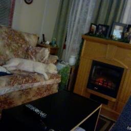 peterblake700's profile picture. 