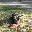 Don Wheeler - @dwheeler4732 - Twitter