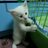 behar07071's profile image