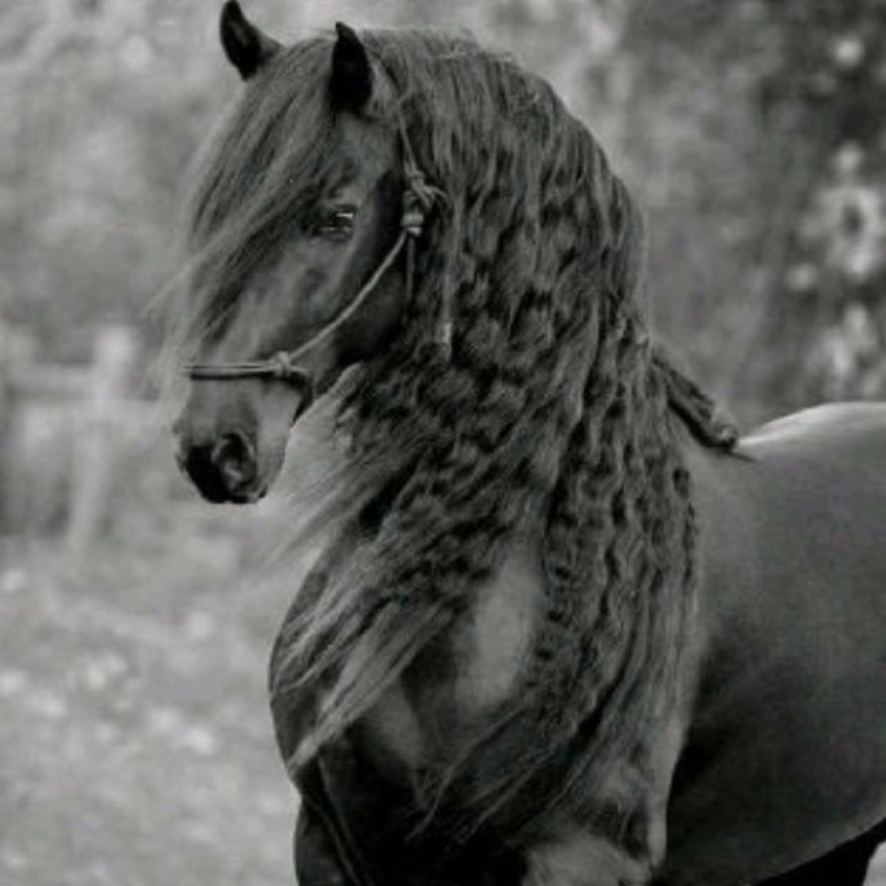 ms77om's profile picture. 