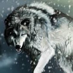 loves tigerclaw he is the best warrior cat! firestar is too calm!
