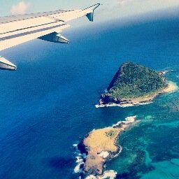 mytravelingeyes's profile picture. 