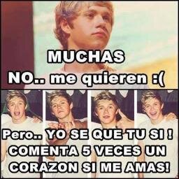 I love you  NIALL HORAN