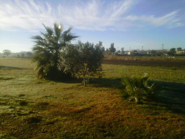 M'agrada la terra i l'herba http://t.co/1uEsZuPLpW del baix llobregat