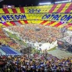 tarracojordi's profile picture. Amunt, amunt i fora!  //*//
