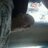zitoune93370's profile image