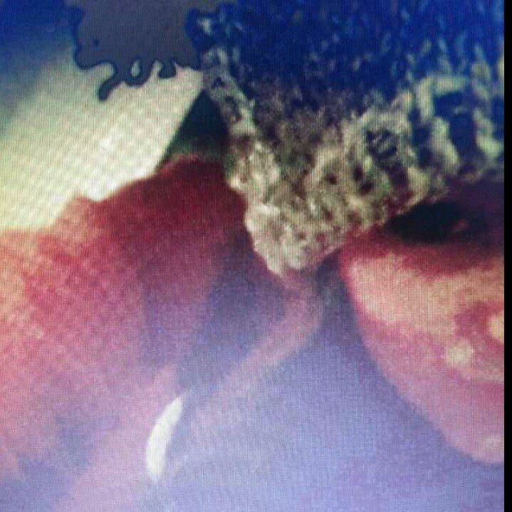 Lekkaaar's profile picture. Faith Hope Love ~~ Heaven Leigh With Love ~~ One step at the time, One day at the time!