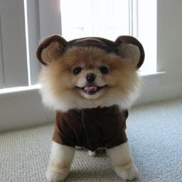 thongscorner's profile picture. I like interacting with random people. :)