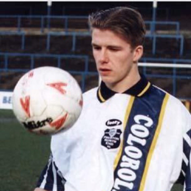 Mr_T_Meerkat's profile picture. 