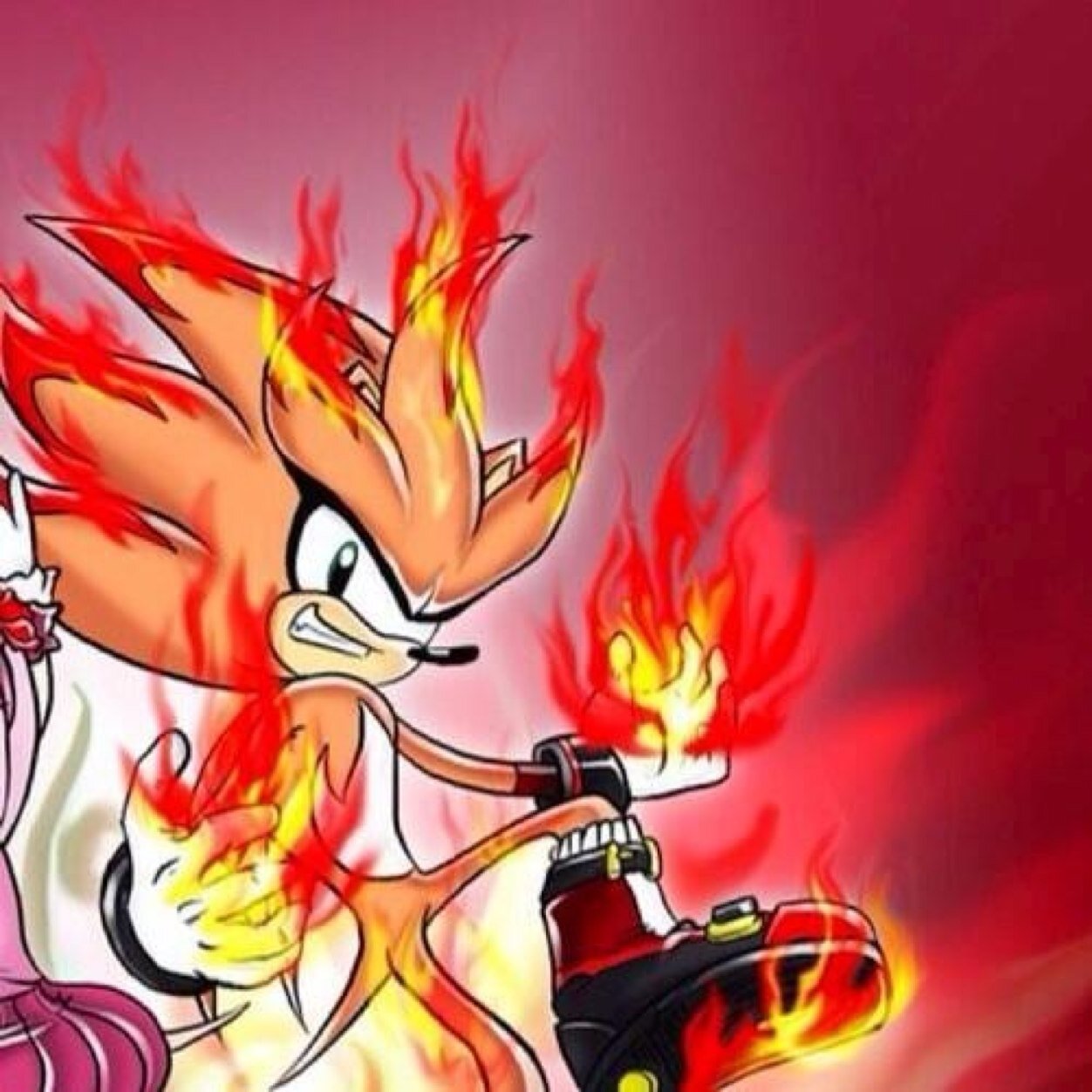 Im Zin the hedgehog i hate Zinilion and one day he will die that i killed i have all the same powers as Zinilion im also king of Team Villianous Elementals