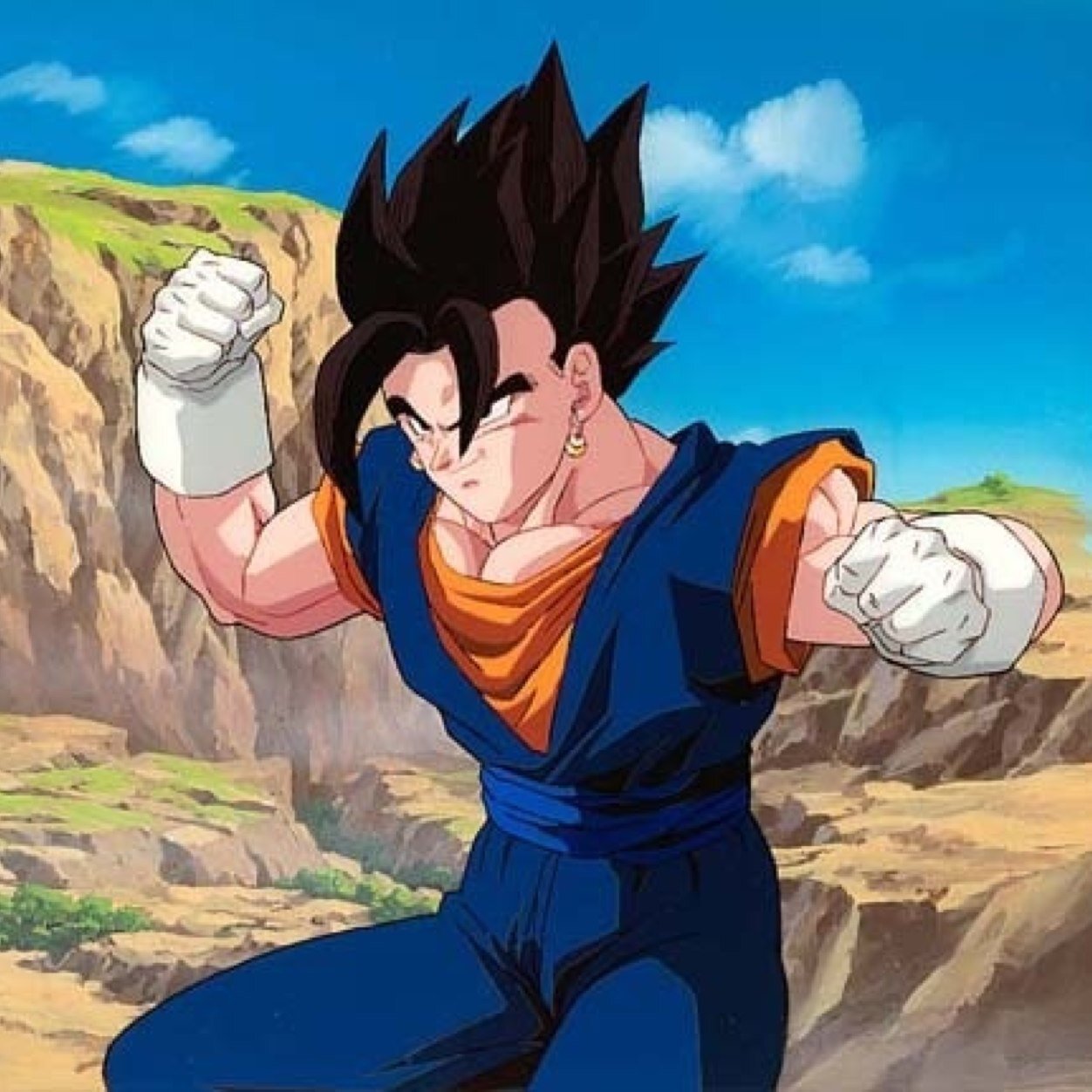 I'm neither Kakarot or Vegeta; but the two combined in the ultimate fusion! Vegito! I defeated Buu, so I'll defeat you. [RP/Parody]