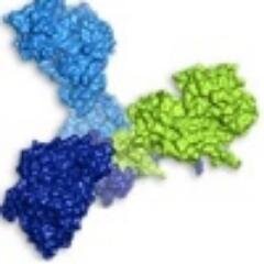 Developing next-generation targeted drugs. Innovative protein engineering platform Trimerbody®.