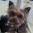 dotrock4's profile image