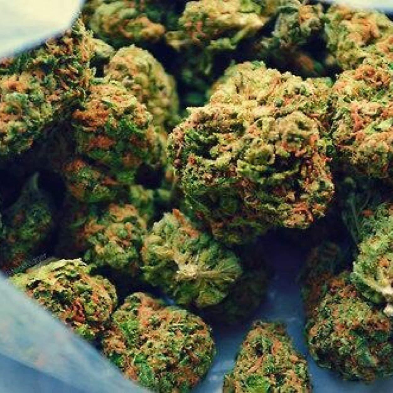 Im inlove with Mary J #StonerNation #SmokeGood #EatGood #LiveGood