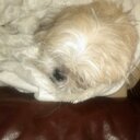 jacqueline dover - @jackydover18 - Twitter