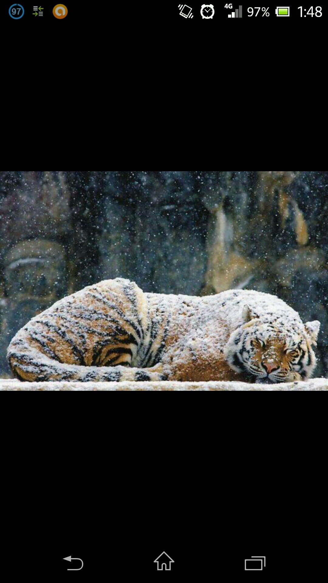 hard worker....dreamer....and romantic man.. Tigre de nacimiento !!!