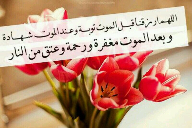 ‏أنت تحمل أغلى ثروة في الدنيا وأعز كنز في العالم إنها كلمة (لا إله إلا الله) فلا تخف ولا تحزن بعدها.