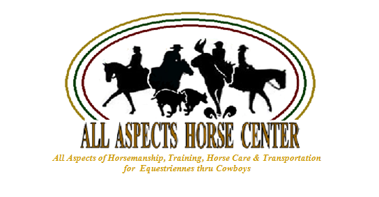 Our clubs, stable activities, programs & progressive levels teach excellence in  HORSEMANSHIP, not just riding, to students of all ages, levels & disciplines.