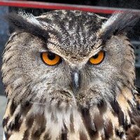 Simon Hadfield (@simondjuk) 's Twitter Profile